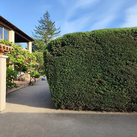 Villa Liberty-3